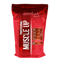 MUSCLE UP Professional (700г)